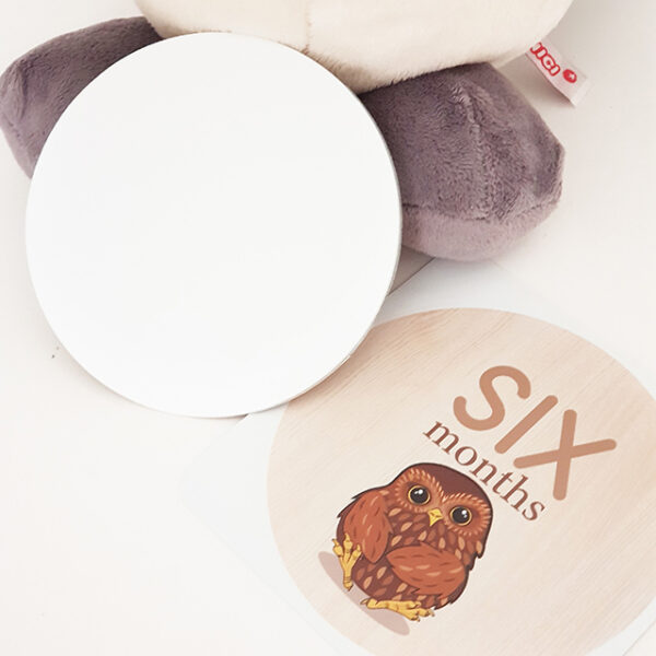 NZ Birds Nursery Milestone Discs Set - Image 4