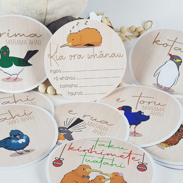 Te Reo Maori Nursery Milestone Discs Set - Image 3